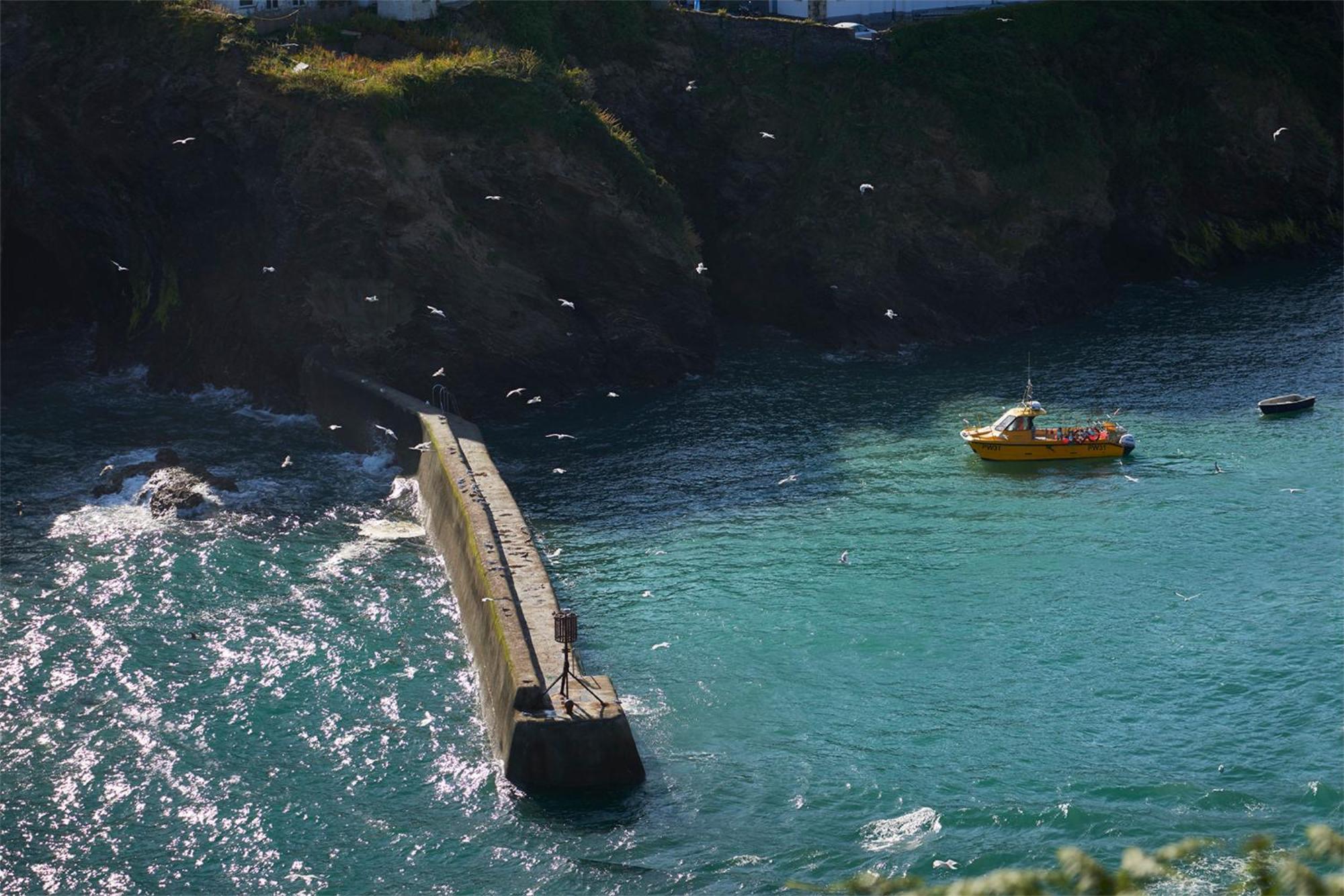 Outlaw'S Guest House Port Isaac Exterior photo